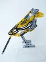 magpie05.jpg