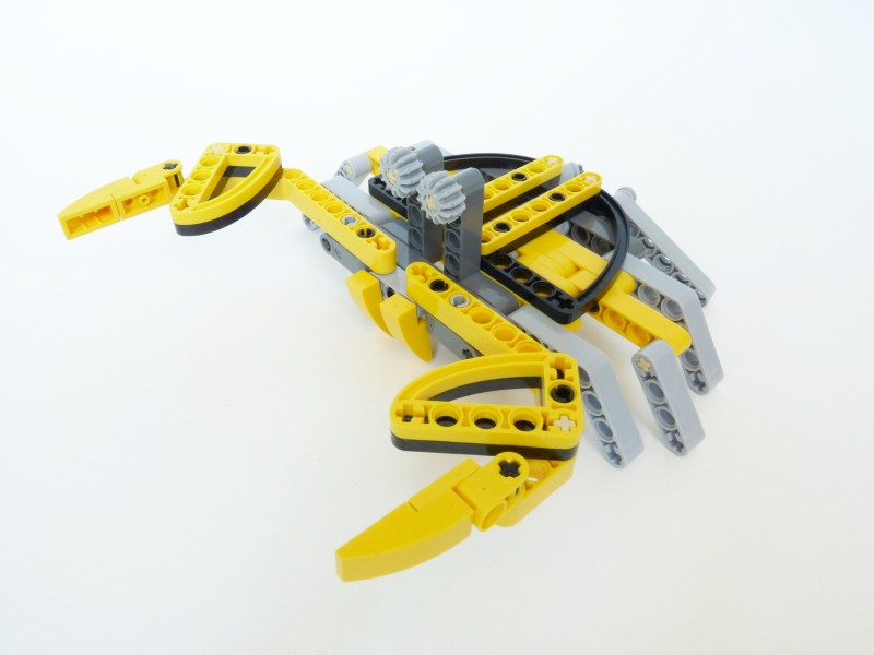 crab01.jpg