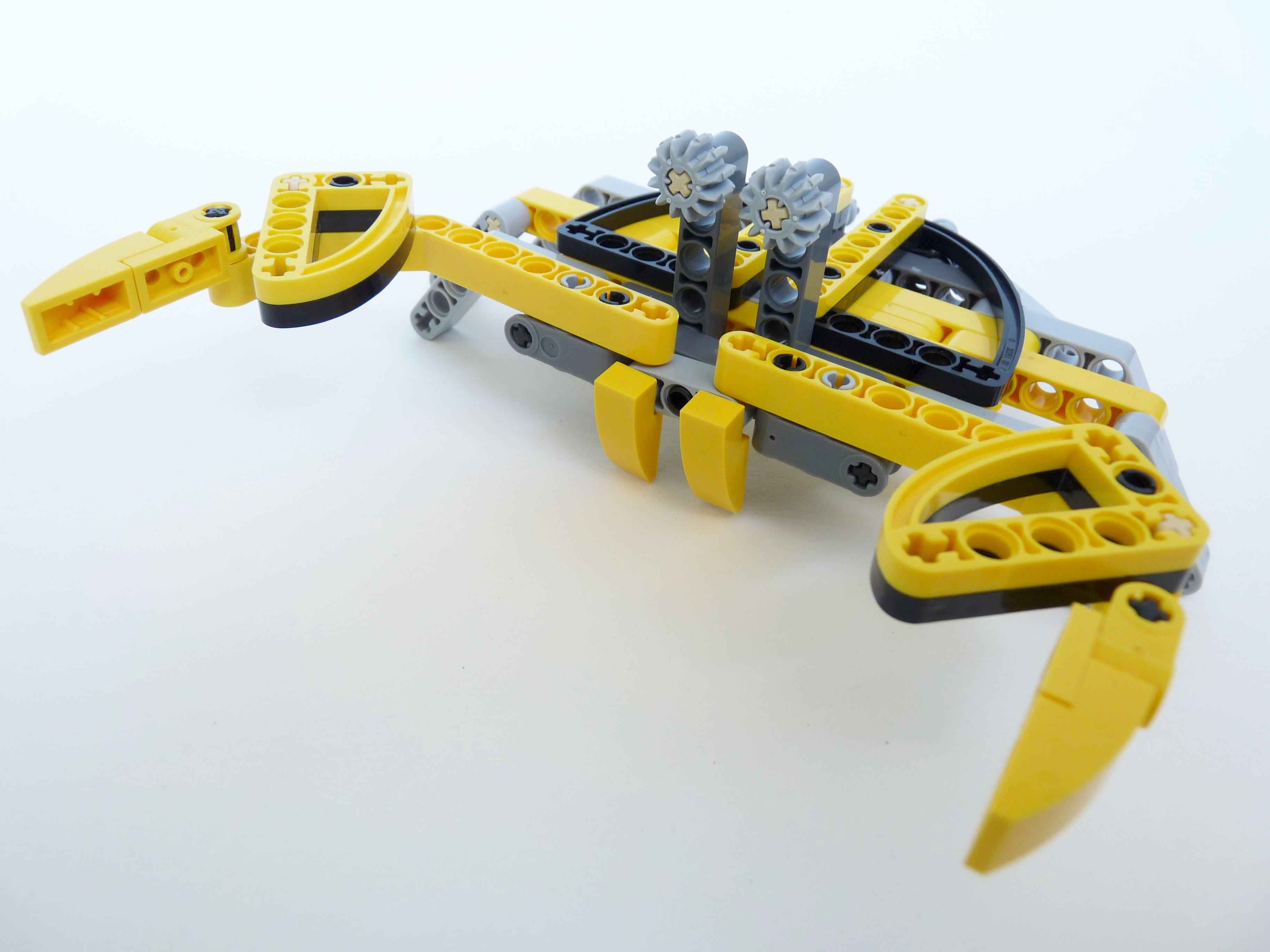 crab03.jpg