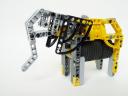 elephant05.jpg