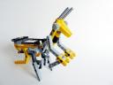 ymantis002.jpg