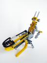 ymantis005.jpg