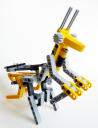 ymantis006.jpg