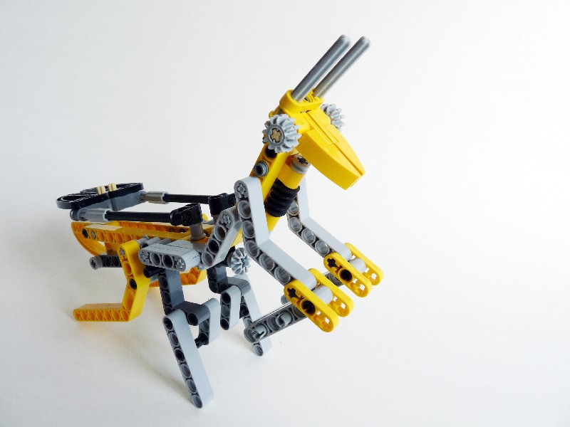 ymantis002.jpg