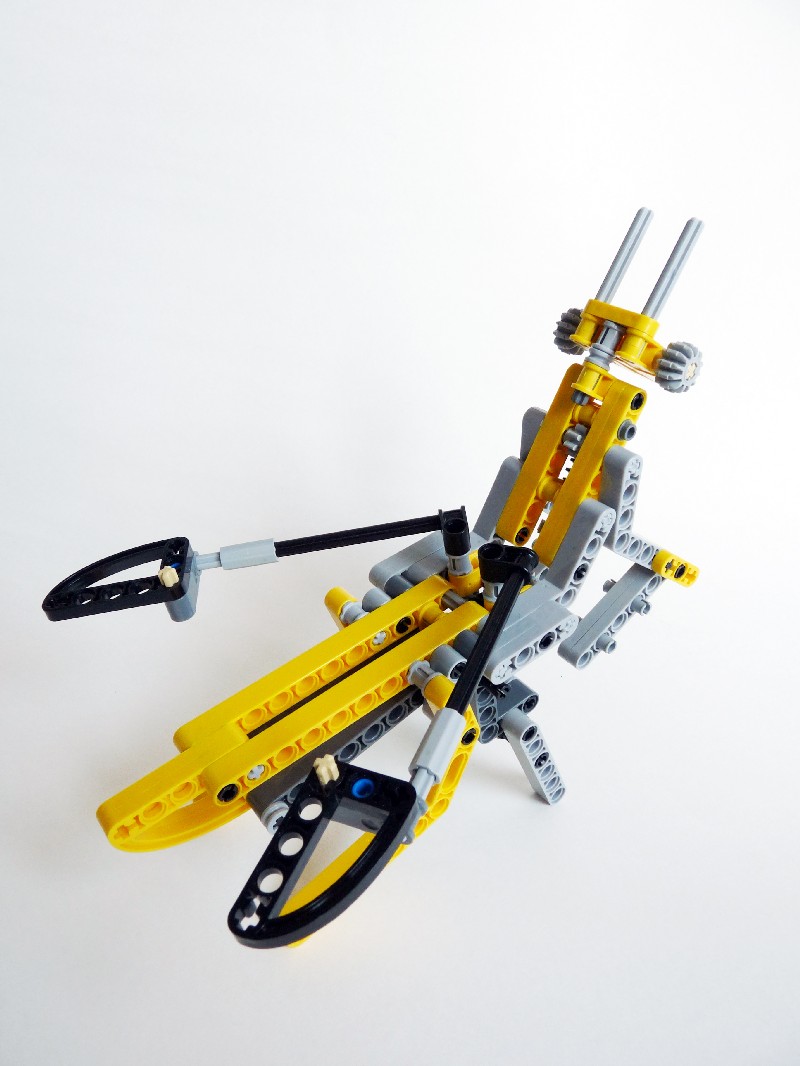 ymantis008.jpg