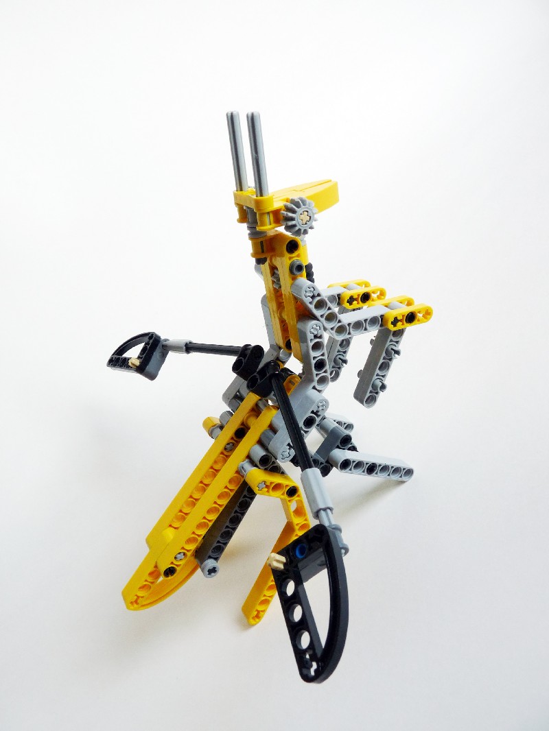 ymantis009.jpg