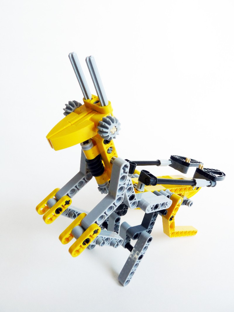 ymantis012.jpg