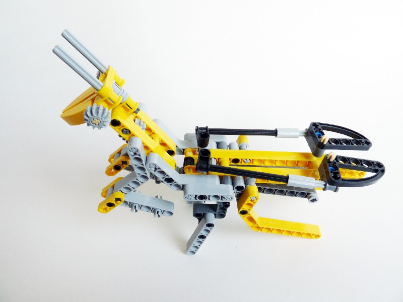 ymantis013.jpg