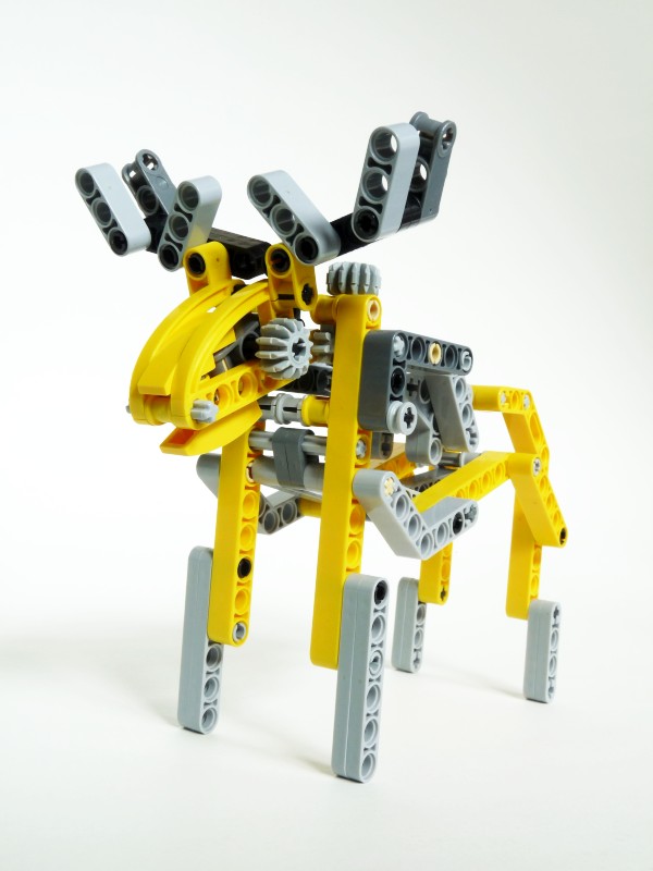 moose04.jpg