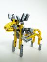 moose06.jpg