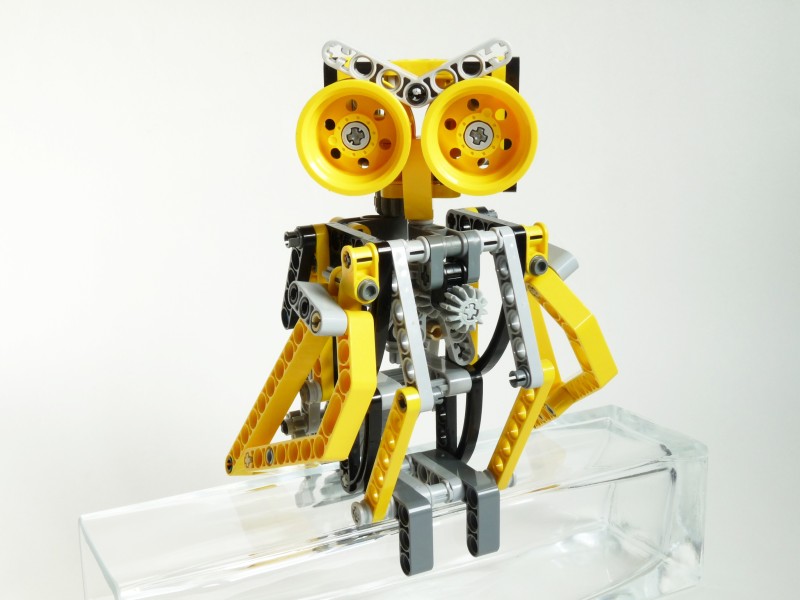 owl01.jpg
