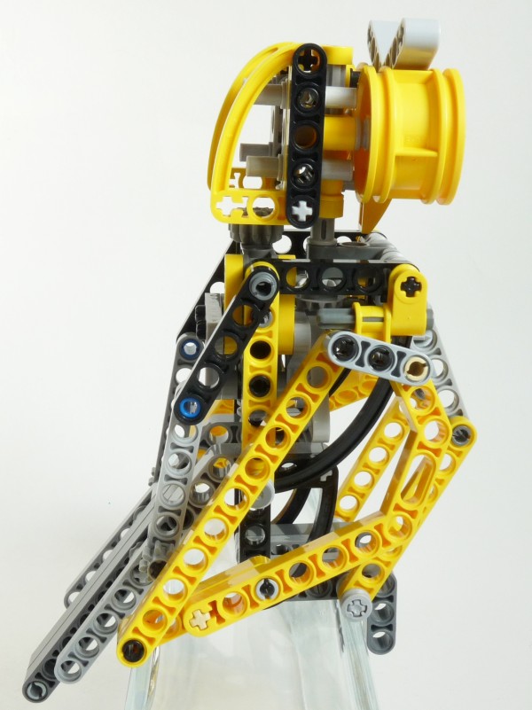 owl02.jpg