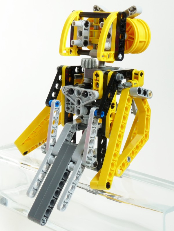 owl03.jpg