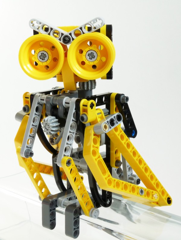 owl04.jpg