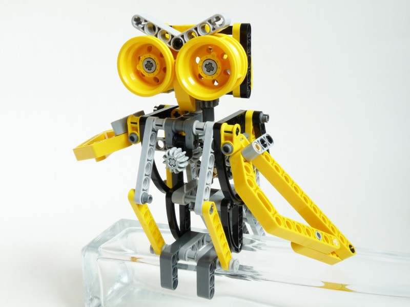 owl05.jpg