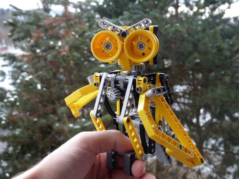 owl07.jpg