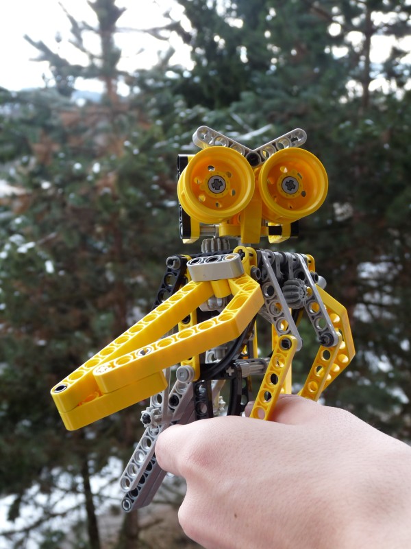 owl09.jpg