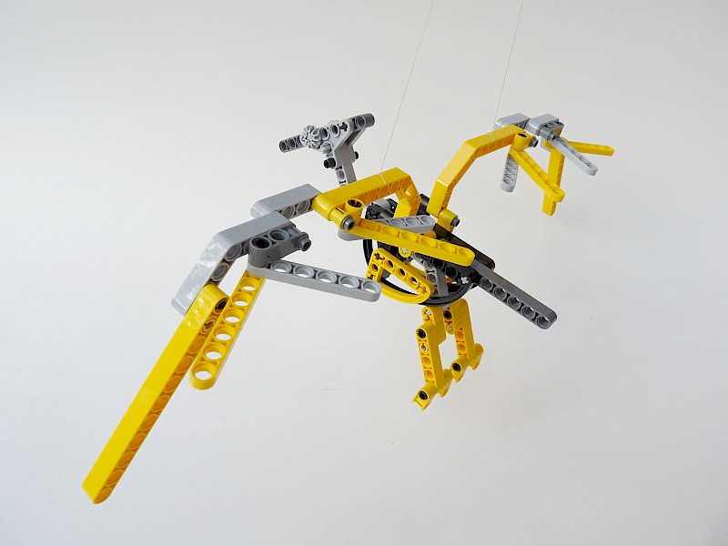 ptero02.jpg