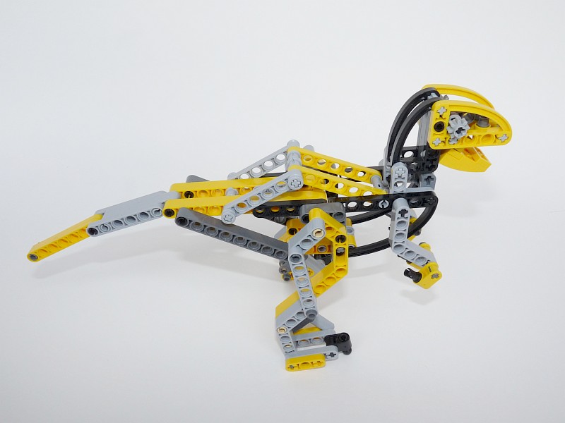raptor03.jpg