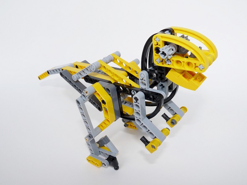 raptor05.jpg