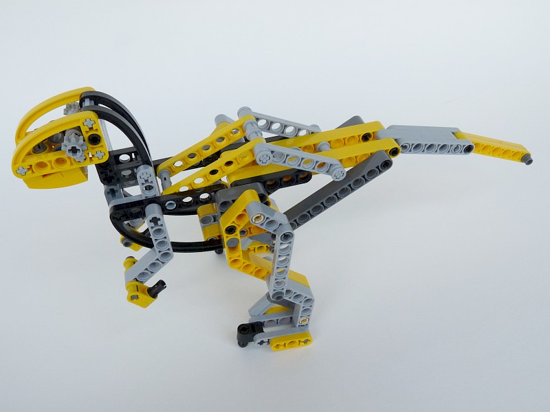 raptor06.jpg