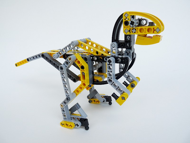 raptor09.jpg
