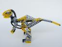 raptor07.jpg