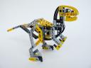 raptor09.jpg