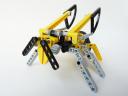 wasp03.jpg