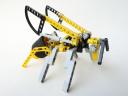 wasp04.jpg