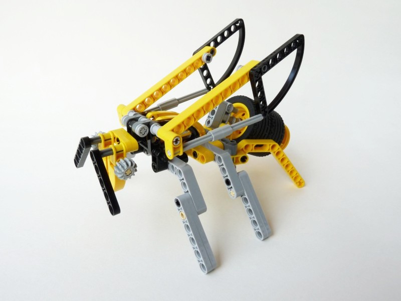 wasp01.jpg