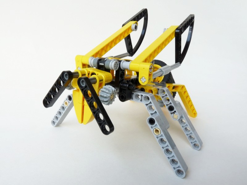 wasp03.jpg