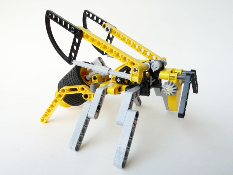 wasp04.jpg