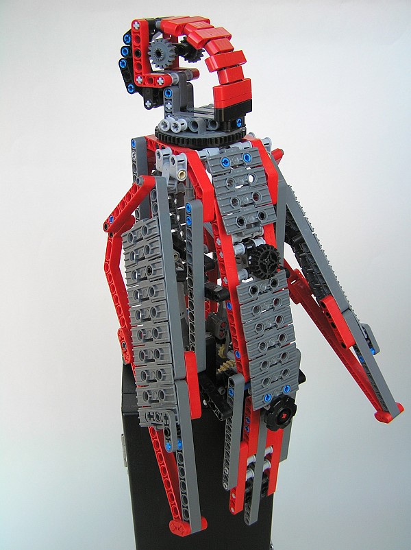 parrot05.jpg