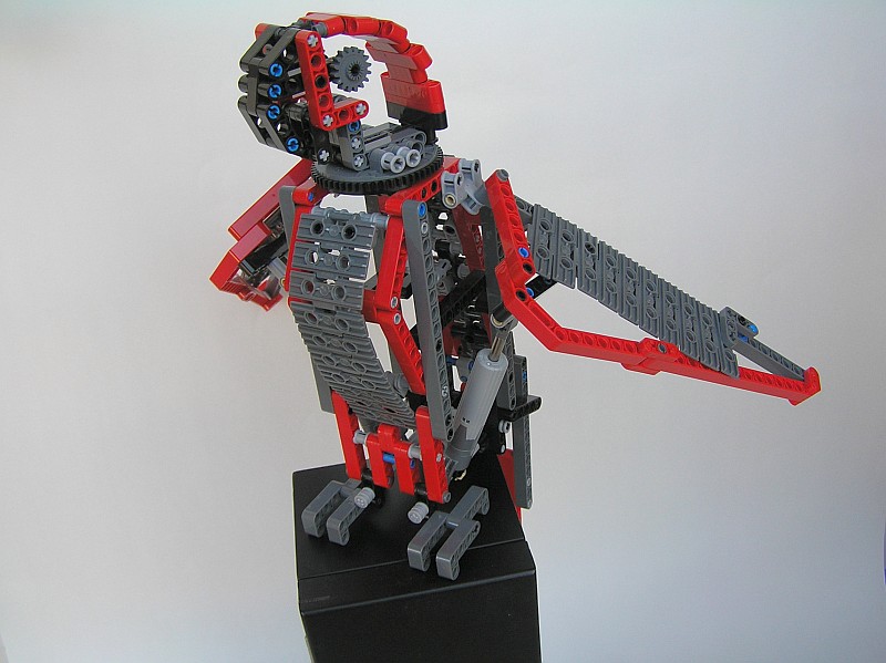 parrot06.jpg