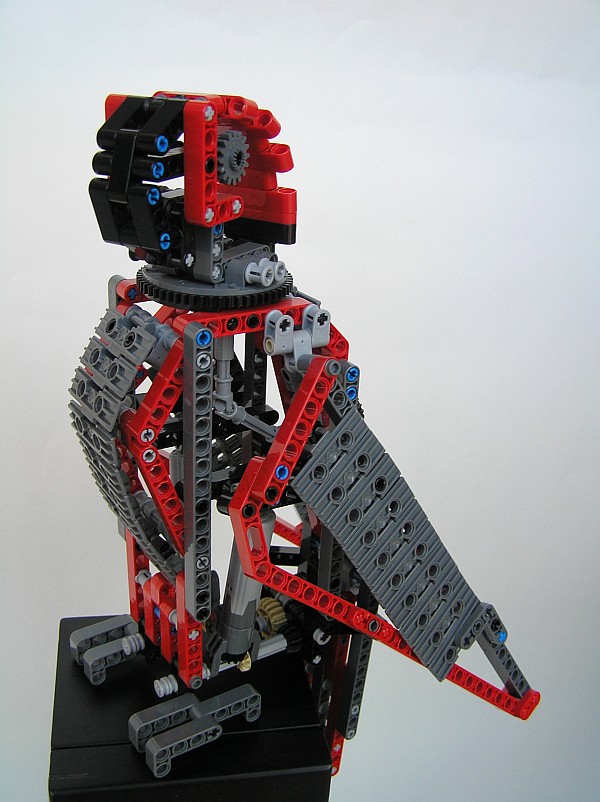 parrot08.jpg
