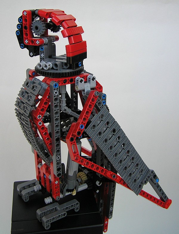 parrot081.jpg