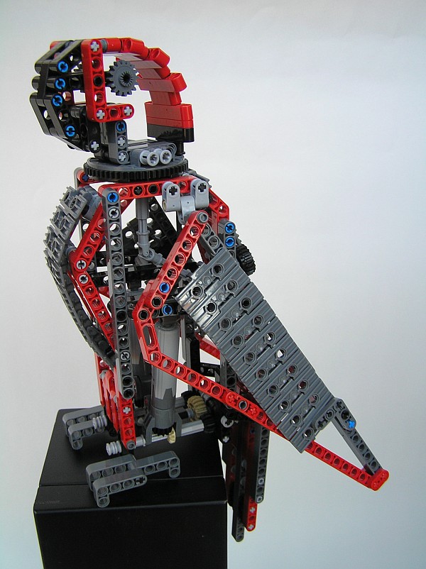 parrot082.jpg