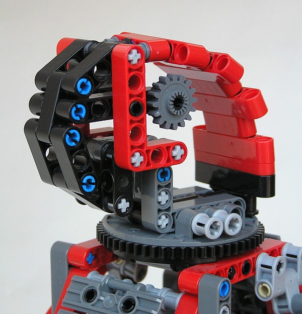parrot09.jpg