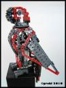 parrot.jpg