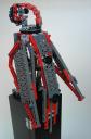 parrot02.jpg
