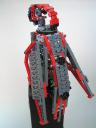 parrot05.jpg
