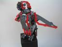 parrot06.jpg