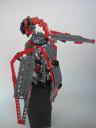 parrot07.jpg