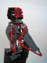 parrot08.jpg