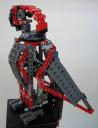 parrot081.jpg