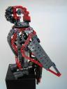 parrot082.jpg