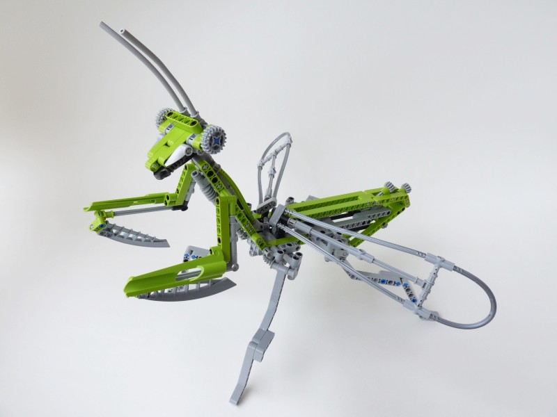 mantis02.jpg