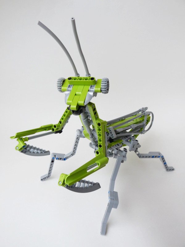mantis05.jpg