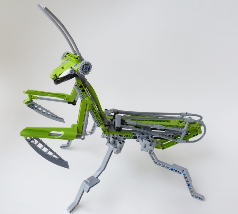 mantis08.jpg